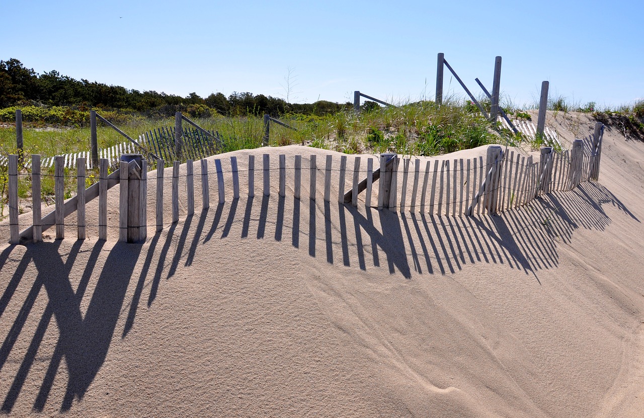 coastal-dunes